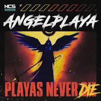 Angelplaya — Playas Never Die — обложка